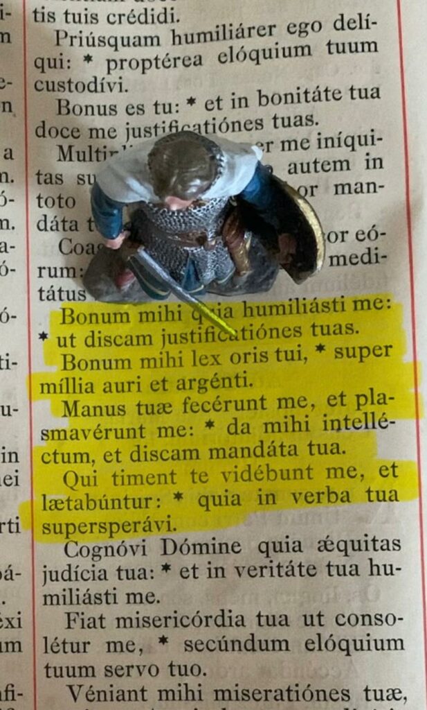 Bonum mihi