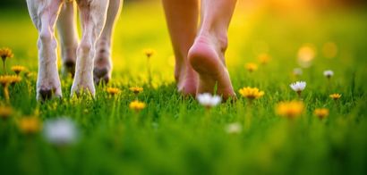 Blote voeten en een wit hondje wandelend door het gras tijdens dauwtrappen
