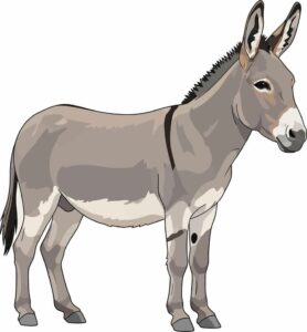 ezel