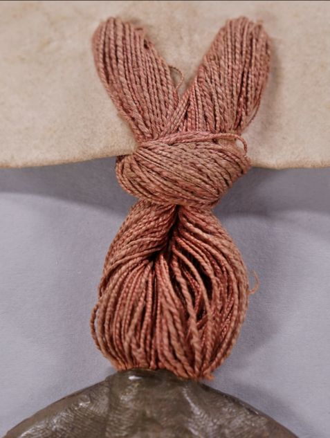 Detail van koorden waarmee een middeleeuws hangend zegel aan perkament is bevestigd.