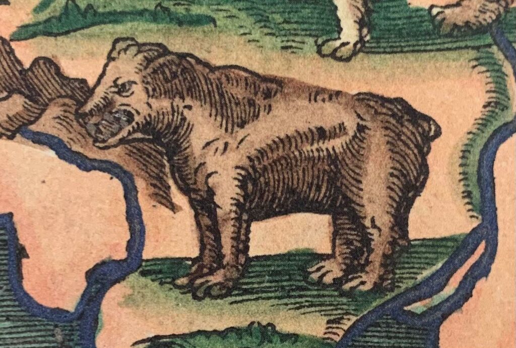 Oso procedente de un incunable de 1493 – xilografía coloreada a mano